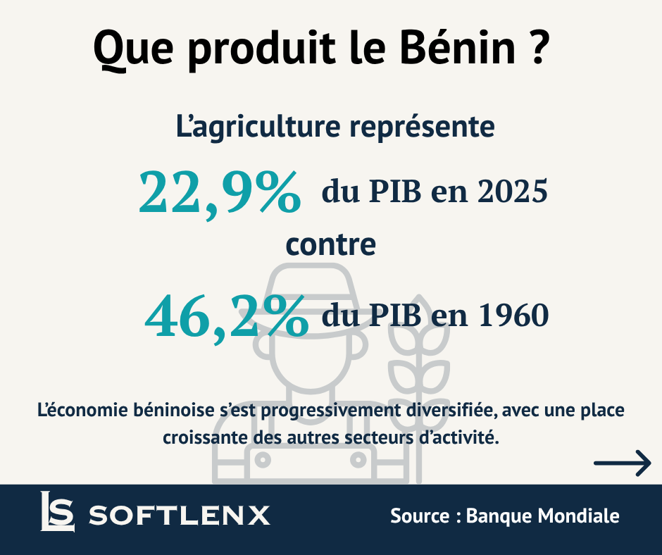 Le Benin en 9 chiffres - visuel 9
